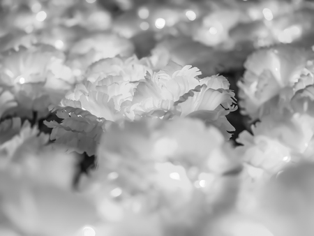 Black and white tone. Closeup of abstract flower fabrics backgroundの写真素材