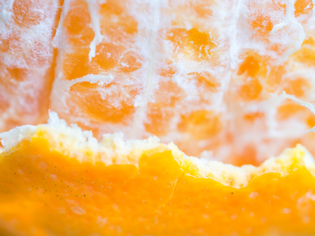 Closeup of orange pulp and peelの写真素材