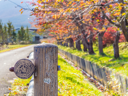 Closeup of cement fence with blurry autumn color forestの写真素材