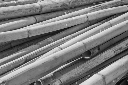 Abstract black and white tone stripes bamboo pattern.