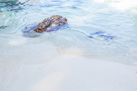Clear sandy beach, sea and rock for summer vacation.の写真素材