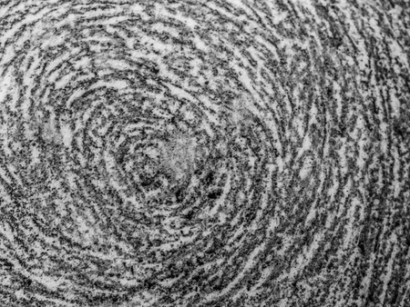 Abstract black and white tone of ceramic texture, radius or circle pattern for background.の写真素材