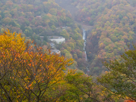 Autumn color forest with waterfall and curved road background.の写真素材