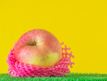 Apple with vivid pink mesh fruit sleeve and yellow backgroundの写真素材