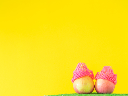 Two apples with vivid pink mesh fruit sleeve and yellow background.
They look like blank child faces with Christmas hats.の写真素材