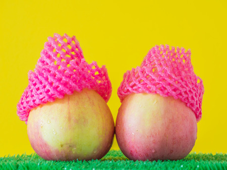Two apples with vivid pink mesh fruit sleeve and yellow background.They look like blank child faces with Christmas hats.の写真素材