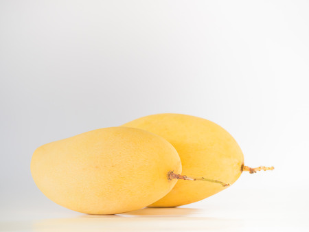 Fresh delicious yellow mangoes on gray backgroundの写真素材