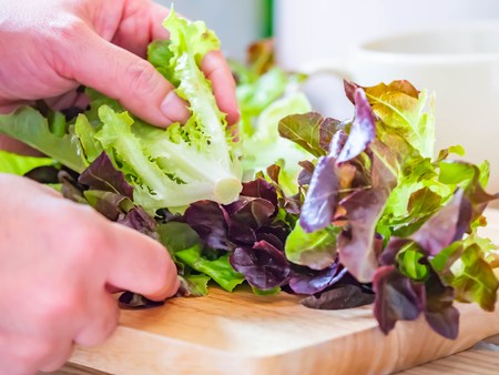 Woman 's hand with vegetables salad. Preparation for diet meal.の写真素材
