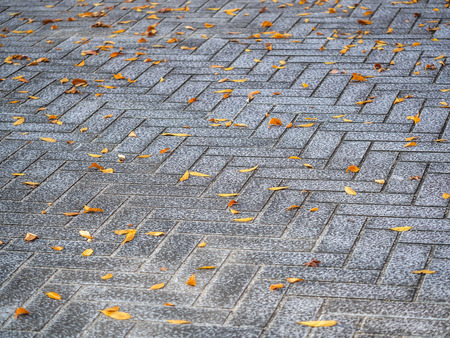 Abstract background of cement or concrete texture with grids or tiles pattern.の写真素材