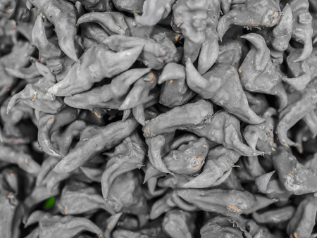 Abstract background, texture and pattern of Asian chestnut buffalo.の写真素材