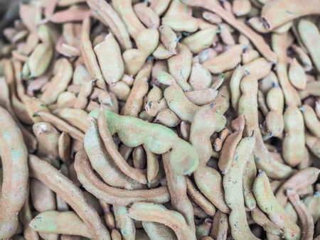 Closeup of young tamarind pattern, texture and background.の写真素材