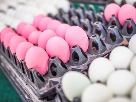 Closeup of pink century eggs on black plastic tray with blurry white salted eggs.