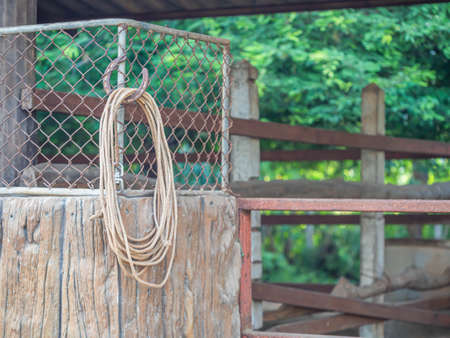 Rural stable with iron door and wooden wall with blurry green tree or gardenの写真素材