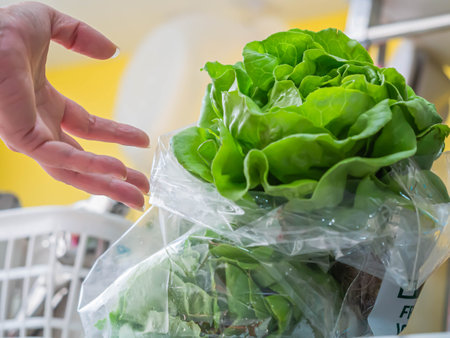 Closeup of a woman's hand with lettuce in a transparency plastic bag in the kitchenの写真素材