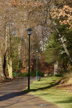 sunrise in a city parkの写真素材