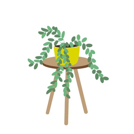House plant on the table isolated on white background. Potted plants. Stock vector illustration in flat style. Home decoration. Growing plants.のイラスト素材