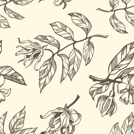 Seamless pattern of ylang ylang branches and flower on plain background. Hand drawn vector illustration with contour lines. Monochrome floral print fot textile and wallpaper.のイラスト素材