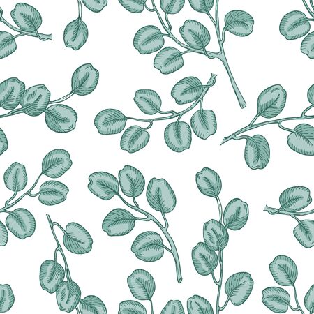 Seamless pattern of eucalyptus branches on white background. Hand drawn vector illustration with contour lines. Colorful floral print fot textile and wallpaper.のイラスト素材