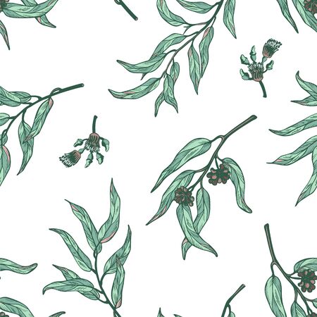 Seamless pattern of eucalyptus branches on white background. Hand drawn vector illustration with contour lines. Colorful floral print fot textile and wallpaper.のイラスト素材