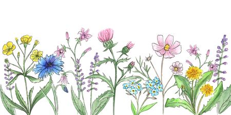 Watercolor meadow flowers. Vintage floral horizontal border of wildflowersの写真素材
