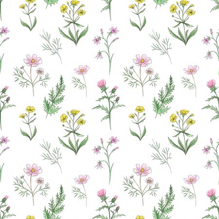 Watercolor meadow flowers.  Seamless pattern of wildflowers on a white backgroundの写真素材