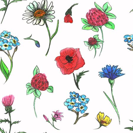 Watercolor meadow flowers.  Seamless pattern of wildflowers on a white backgroundの写真素材