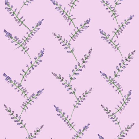 Watercolor meadow flowers.  Seamless pattern of wildflowers on a pink  backgroundの写真素材