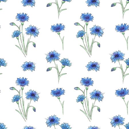 Watercolor meadow flowers.  Seamless pattern of wildflowers on a white backgroundの写真素材
