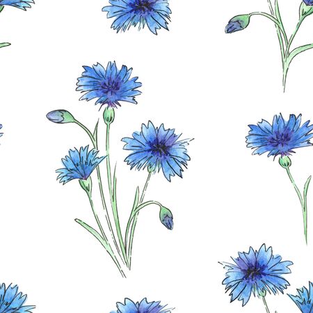 Watercolor meadow flowers.  Seamless pattern of wildflowers on a white backgroundの写真素材