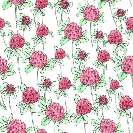 Watercolor meadow flowers. Seamless pattern of clover on a white backgroundの写真素材