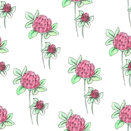 Watercolor meadow flowers. Seamless pattern of clover on a white backgroundの写真素材