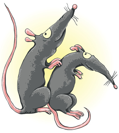Rat scratches another ratのイラスト素材