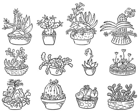 Set of succulent compositions in containers, black and white outlineのイラスト素材