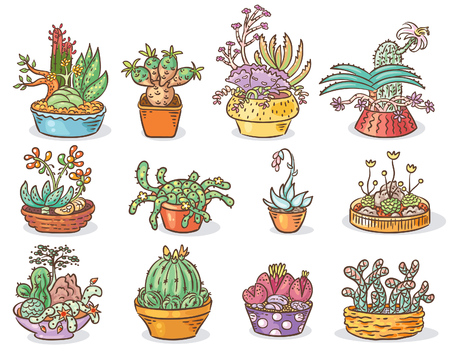 Set of succulent compositions in containers, colorful drawingのイラスト素材