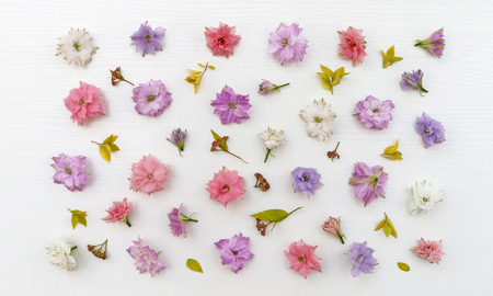 Flowers pattern, floral background