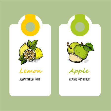Paper labels, tags. Painted fruit, lemon and apples.のイラスト素材