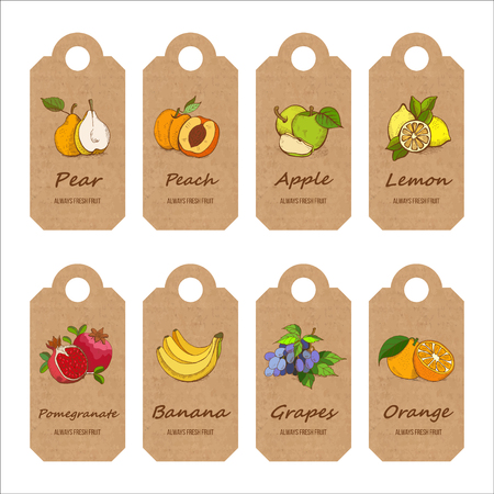 Fruits, hand-drawn. Vector illustration. A set of tags out of kraft paper.のイラスト素材