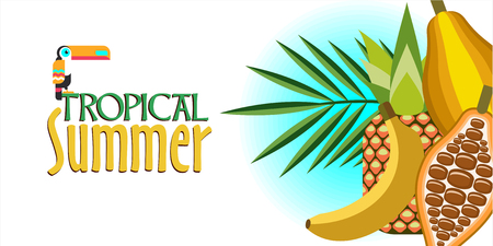 Vector illustration. Tropical plants, cocoa, banana, pineapple, exotic bird Toucan. Summer in the tropics.のイラスト素材