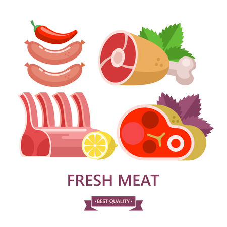 Fresh meat. Set of different types of meat. Beef steak, lamb, sausages, pork ham. Lemon, chili, Basil. Vector illustration. Isolated on white background.のイラスト素材