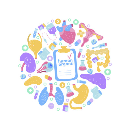 Human organs for surgeries and transplantation. Medicine hand drawn icons. Vector illustration made in cartoon style, colourful design.のイラスト素材
