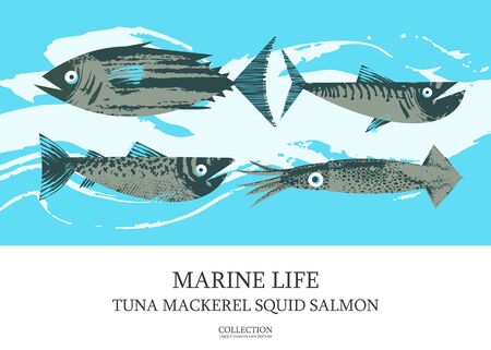Seafood. Fish. Colorful vector illustration, a collection of images of different fish with a unique hand drawn vector texture. Poster of tuna, mackerel, salmon, squid.のイラスト素材