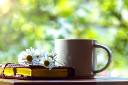 Mug, daisies, Notepad, glasses. The concept of a Sunny summer morning.の写真素材