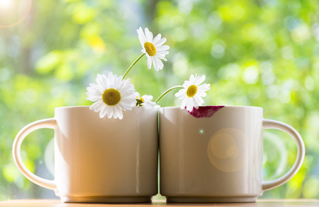 Two mugs nearby. One of daisies, the other with prints of lipstick. The concept of the solar in the morning. The summer mood.の写真素材