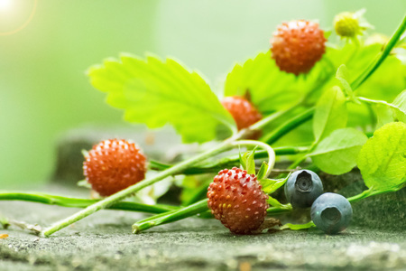 Strawberries and blueberriesの写真素材