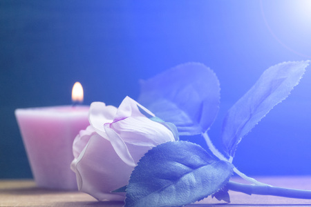 Rose and candle on the tableの写真素材