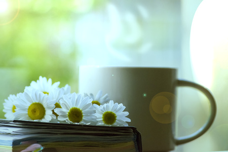 Mug, daisies, Notepad, glasses. The concept of a Sunny summer morning.の写真素材
