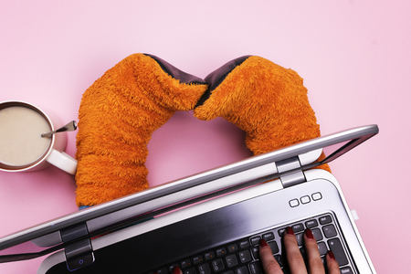 Girl in orange socks keeps the laptop on his lap and drinking coffeeの写真素材