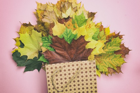 A bouquet of autumn leaves on a light backgroundの写真素材
