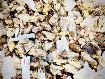 Fish, seafood and fish semi-finished products. Supermarket. Mobile photoの写真素材