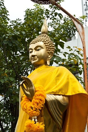 golden buddha statue of thailandの写真素材